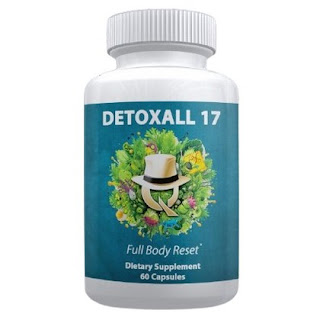 Read more about the article Detoxall 17: Natural Shield for Toxin Free You